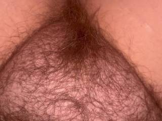 My way, big hairy bush first thing in the morning
