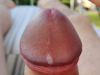 Precum. Thinking about a soft tongue on my head