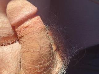 Humm the warm sun is having a reaction