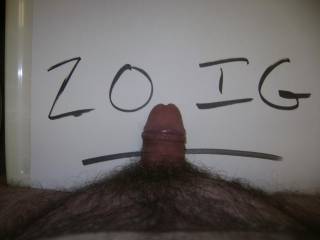 cock showing the zoig