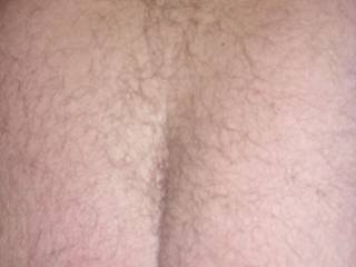 I didnt realise my arse was this hairy until I saw this photo. Should I get it Waxed to match my cock and balls??