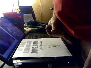 Just a quick cum....ahhh!