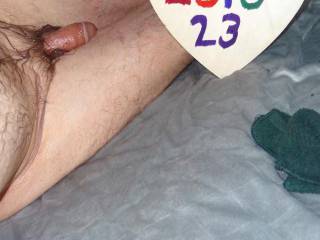A view of my lubed dick and I am on top of a pet blanket on my floor. Camera used, Z50.
