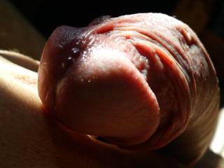hi