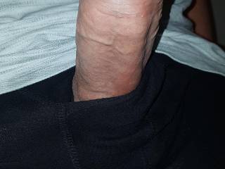 cock