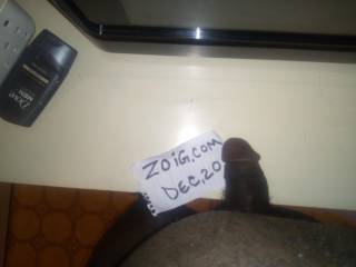 Verification photo.