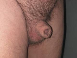 Is it tiny or micro?