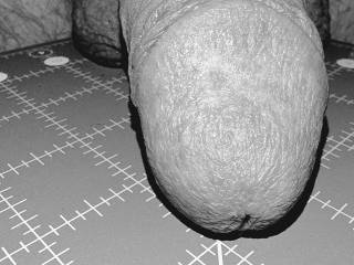 ♡  my Dick on the Grid