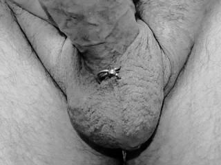 May get 3 more piercings on my balls sack