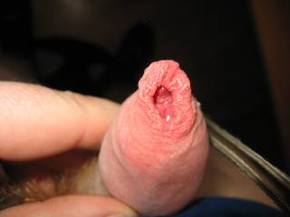 My cock