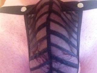 My cock at rest in its hammock...
