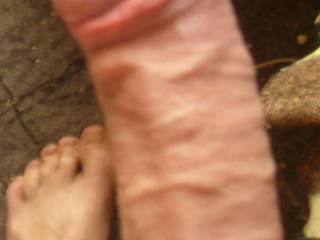 my dicks