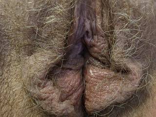 hairy and bald pussy love them both