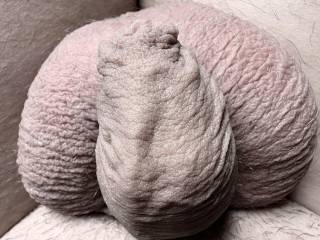 Pic of my dick.
