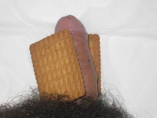 My hairy cock between cookies! Zoig-girls, would you like to taste my cock in that way?