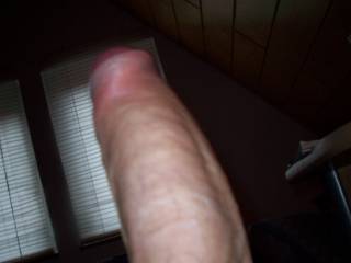 stone hard