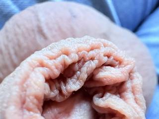 Cock.