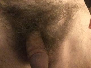 Hanging hairy