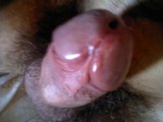 My dick