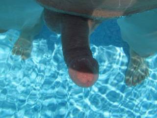 Any sexy ladies want to swim?