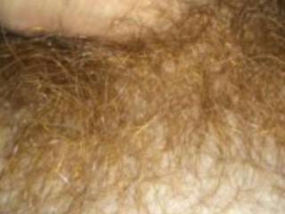 To shave or not to shave...