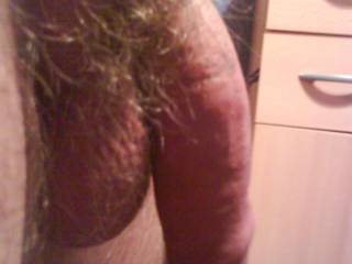 should a trim or shave bush ???
