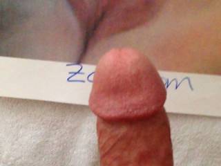 My tribute to a very sexy Zoig member.