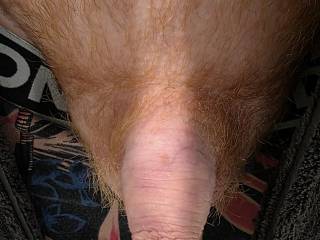 Top view, seeing what mood I'm in today