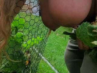 My breasts