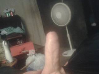 I'd like to see how many females.like my dick