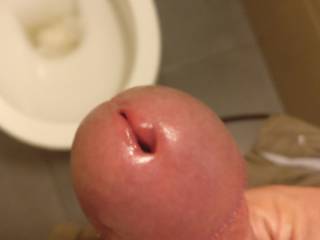 Horny as hell, have to stroke one of in the toilet at work
