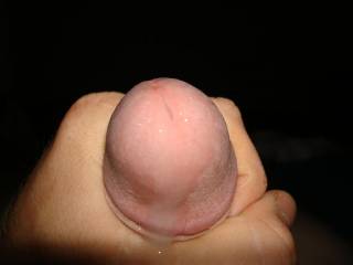just my cock 's head