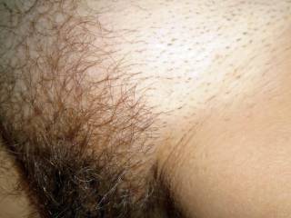 Wife hairy Pussy before she shaved it. hairy, wife, milf, pussy, closeup, amateur