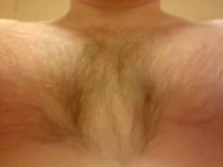 my hairy chest 2