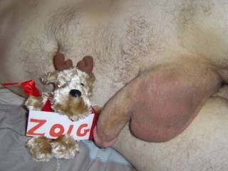 Examining Mr MNDUKs cock Rudolph is very happy with his special present this year....