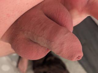 My shaved cock