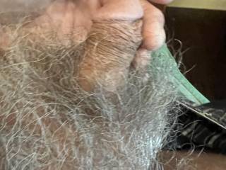 Brian Stoddard small hairy cock just before burning off and shaving off all my pubic hair and pulling it out