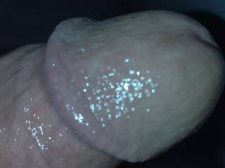 Showing off my nice cock head. Any takers.