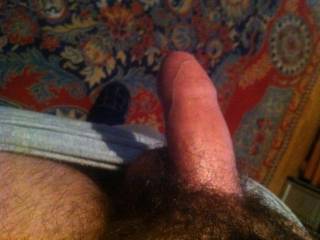 my hairy cock lol i havent shaved 2 months