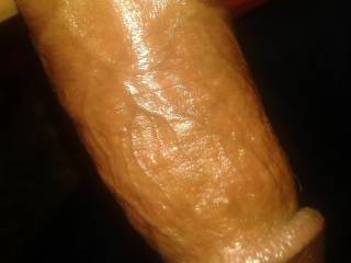 erecto
