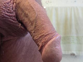 A side view of my personal penis