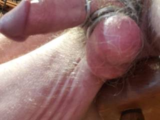Who would like to lick and suck my cock and my big full hairy balls