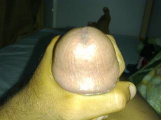how is this mushroom..want to taste babes..???