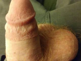 Semi-hard