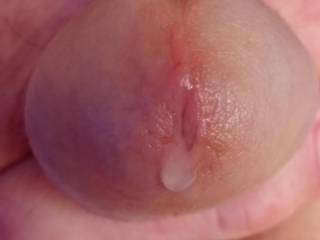 Precum dripping out of my cock