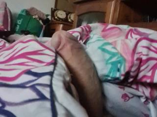 I woke up and noticed I wasn't the only one up