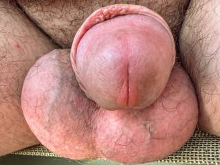 dick