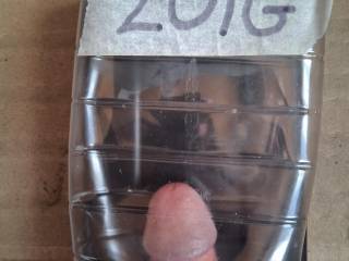 Dick in the bottle