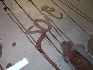 Steamy shower...pressed against the cold glass!  Wonder if I could get off like this?