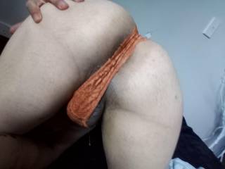 Orange panties x